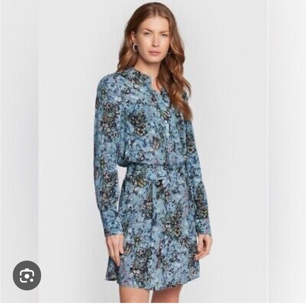 Zadig & Voltaire Floral Blue Dress